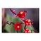 Lego Icons Plum Blossom Building Toy 10369