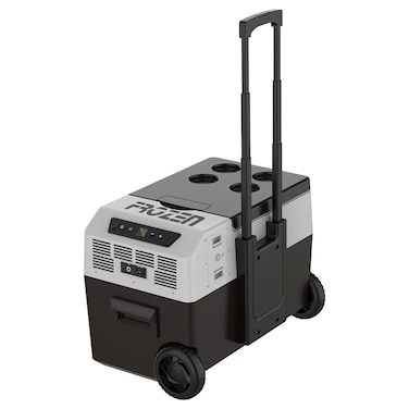 Frozen Premium Cooler Cool Box FC30-P, Black and White, 30 L