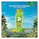Dabur Vatika Naturals Olive and Henna Nourish and Protect for Normal Hair Shampoo, 350ml