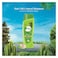 Dabur Vatika Naturals Cactus and Gergir Hairfall Control for Weak Hair Shampoo, 350ml