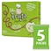 Felis Fruitz Apple Fruit Strings Snack, Real Fruit Snack, Pack of 5, 20g