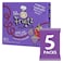 Feli's Fruitz Mixed Berry Fruit Strings Snack, 20g Pack of 5