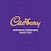 Cadbury Dairy Milk Fruit and Nut Milk Chocolate Bar, 32g, Pack of 12