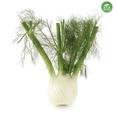 Organic Fennel