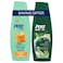 Pert Plus Daily Care for Normal Hair Shampoo, 400ml +Pert  4-in-1 Anti-Dandruff Shampoo for Men, 360ml