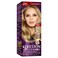 Wella Koleston Intense Hair Colour, 308/1 Light Ash Blonde, 110ml Pack of 3