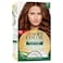 Wella Soft Colour Natural Hair Colour, 67 Chocolate, Pack of 2