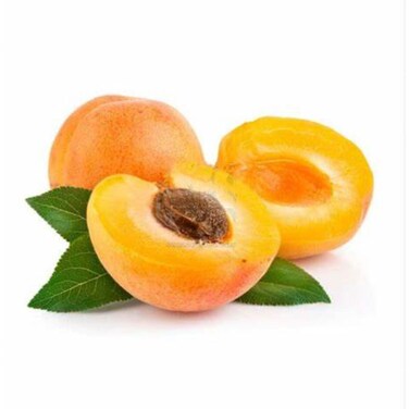 Apricot