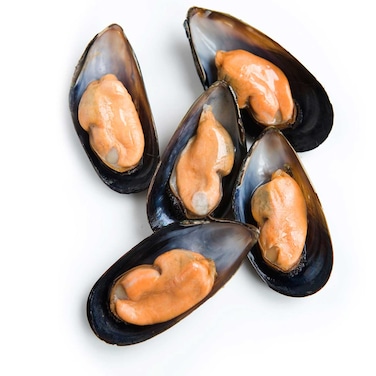 Frozen Mussels