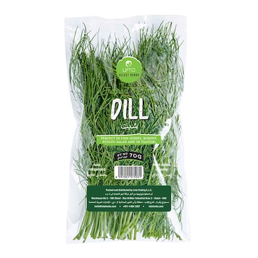 Leto Dill 70g
