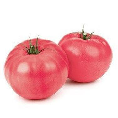 Tomato Pink