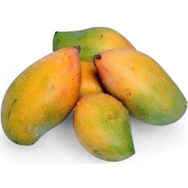 مانغو مستورد