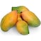 مانغو مستورد