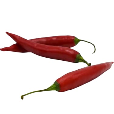 Chlli Red