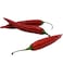 Chlli Red