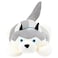 Cuddles Husky Dog, 60cm