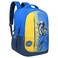 Skybags Backpack, Assorted, 18inch