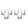 Windcera, 6 Pcs Glass Tea Mug Set, 225ml