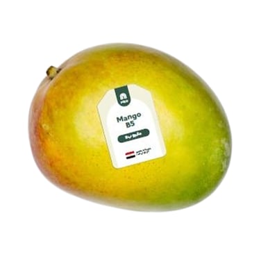 Carrefour Mango B5