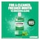 Listerine Daily Mouthwash Super Saver Pack, Fresh Burst, 500ml Pack of 2