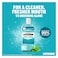 Listerine Daily Mouthwash Super Saver Pack, Cool Mint, 250ml Pack of 2