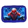 Marvel Spiderman Printed Lunch Box