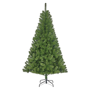 Charlton Christmas Tree, 211x425cm