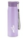 690 ml, Stainless Steel Water Bottle, Easy to Carry, Leak Proof, Rust-Free, BPA Free, Metal Bottle for Sports, Gym, Travelling, Office, School, Handy 650, Purple Assorted