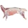 Nuaimi Lamb Carcass