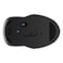 HP 250 Dual Mode Bluetooth Wireless and USB-A Mouse, Black, Ambidextrous, 1600 dpi