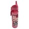 Sanrio Hello Kitty Printed Water Bottle