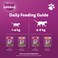 Whiskas Meaty Selection in Gravy Wet Cat Food Pack of 10+2x80g Pouches