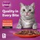 Whiskas Meaty Selection in Gravy Wet Cat Food Pack of 10+2x80g Pouches