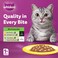 Whiskas Mixed Favourites Wet Cat Food Pack of 10+2x80g Pouches