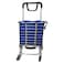 Green Lion Foldable Shopping Trolley