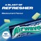 Airwaves Eucalyptus Gum Sugar Free, 14g