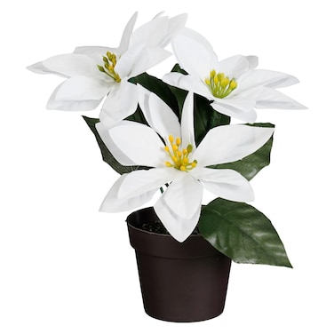 Decorative Poinsettia in Pot, White