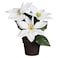 Decorative Poinsettia in Pot, White