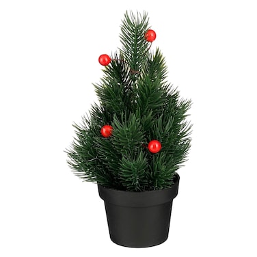 Christmas Tree Berries in Pot
