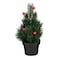 Christmas Tree Berries in Pot