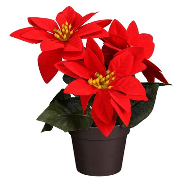 Decorative Poinsettia in Pot, Red