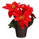 Decorative Poinsettia in Pot, Red