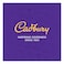 Cadbury Dairy Milk Fruit and Nut Milk Chocolate Bar, 32g Pack of 2