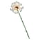 Lego Botanicals Field Flowers Building Toy 30701