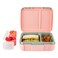Skip Hop Zoo Cat Printed Bento Lunch Box