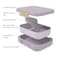 Bentgo Modern Adult Lunch Box, Orchid, 850ml