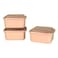 3 Pcs Colours Rectangular Food Box, 0.8L