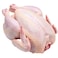 Brazilian Chicken Defrosted