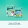 Rascals Premium Taped Nappies, Size 7 (17+ kg), 26 Count - Hydrolock Core