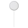 Apple MagSafe Charger, White, 1M